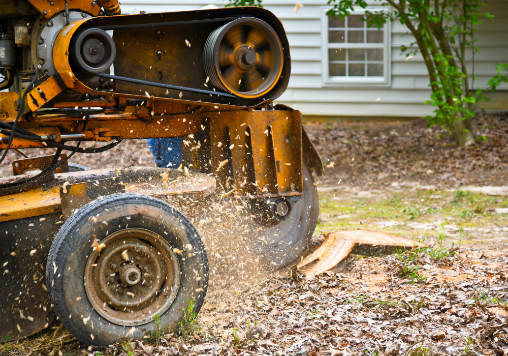 tree cutting service